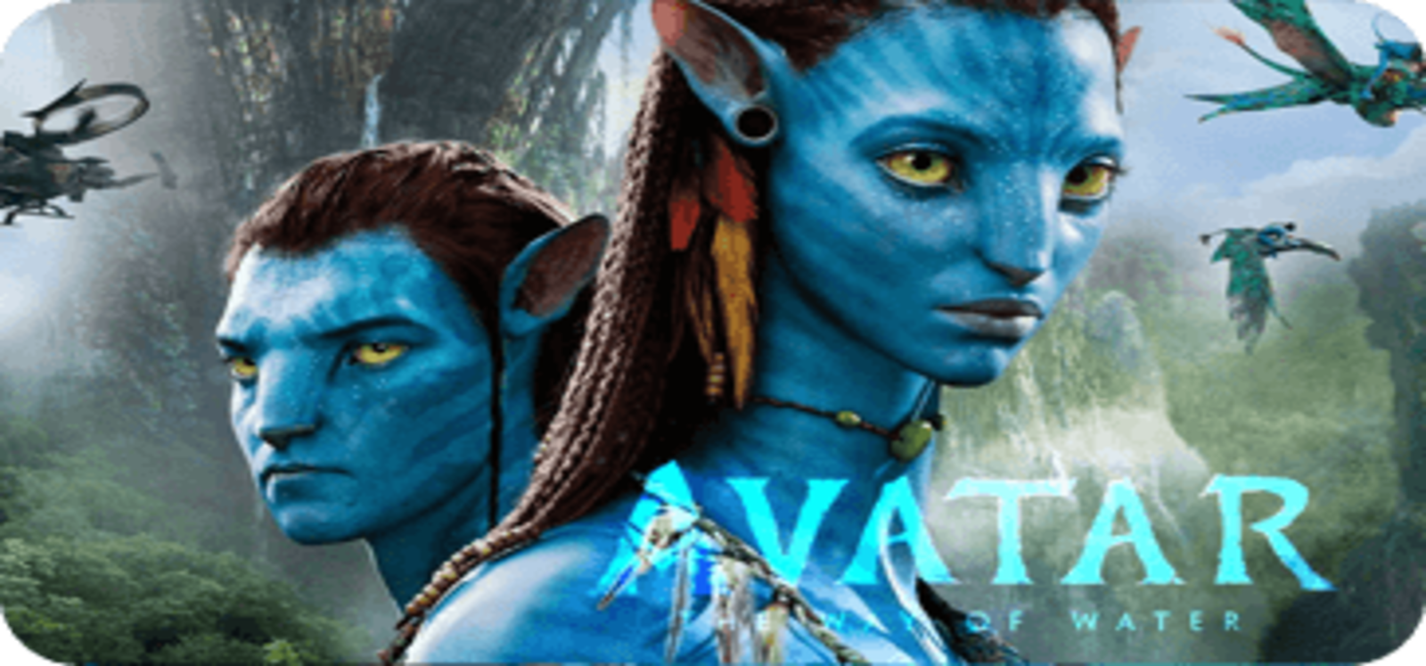 CiMarket - Promotion Banners - Banner 2